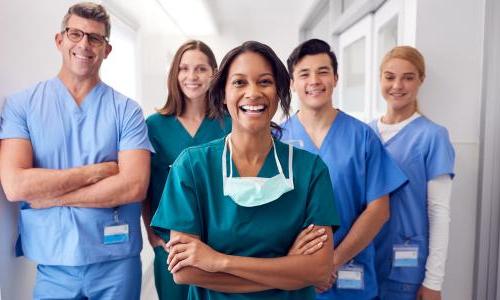  BSN桥选项-实用护士(LPN) -在线